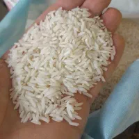 برنج هاشمی درجه یک محلی