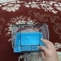 فروش قفس حمل پرنده