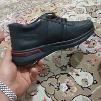 کتونی مردانه|کیف، کفش، کمربند|گرمدره, |دیوار