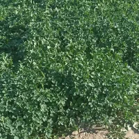 خوردن آشامیدن