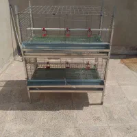 قفس جوجه یک روزه زینتی