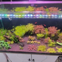 3 مدل نور آکواریوم پلنت