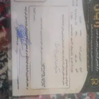 گریت وال وینگل 5 دو کابین تک دیفرانسیل، مدل ۱۳۹۳|خودرو سواری و وانت|مبارکه, |دیوار