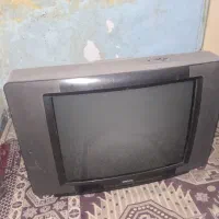 تلویزیون