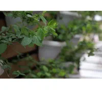 اجاره روزانه /ساعتی واحد مجلل در میدان آزادی|اجارهٔ کوتاهمدت آپارتمان و سوئیت|تهران, سلسبیل شمالی|دیوار