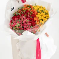گل «نرم افزار اینشات»