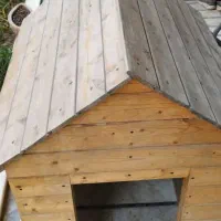 لونه چوبی سگ بزرگ حیوان خانگی