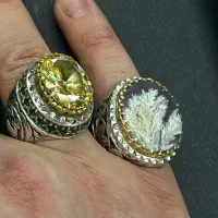 شجر بهاره )فردوس)