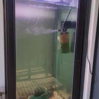 آکواریوم ۵۰در۷۰|ماهی|لنگرود, |دیوار