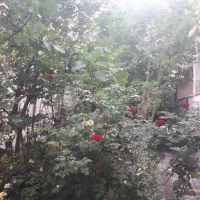 شهرزیبا/آلاله/۷۰متر ۲خواب+۴۰متر حیاط خلوت اختصاصی