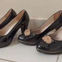 کفش مجلسی،بوت|کیف، کفش، کمربند|پرند, فاز ۶|دیوار