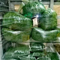 آبگیری گوجه لیمو انگور  و دستگاهای اصفهان|خوردنی و آشامیدنی|مشهد, توس (بلوار توس)|دیوار