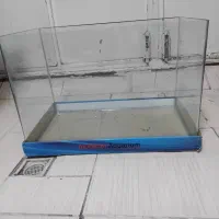 فروش شیشه اکواریوم|ماهی|سقز, |دیوار