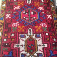 پادری های هریس یک در ۵۰