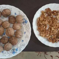 گردوی تویسرکان