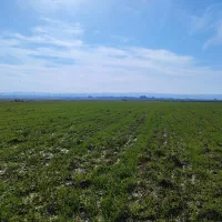 زمین-کشاورزی-در-روستای-احمد-حسین