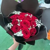 پخش عمده گل رز هلندی|گل و گیاه طبیعی|مشهد, هنرستان|دیوار