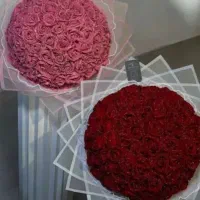 گل رز|گل و گیاه طبیعی|کیش, |دیوار