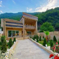 نیم-پیلوت-نماسنگ-ویوی-وحشتناک-از-جنگل