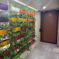 اجاره واحد سند اداری(دو واحد موجود میباشد)|اجارهٔ دفتر کار، اتاق اداری، مطب|تهران, جنت‌آباد جنوبی|دیوار