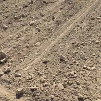 4هکتار-زمین-جای-هندوانه-گل-خالص-جاده-سددز