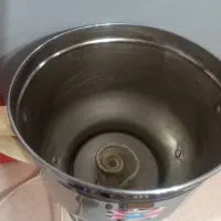 سماور برقی آزادگان|سماور، چایساز، قهوهساز|میاندوآب, |دیوار