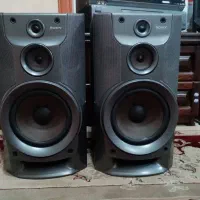 یک جفت باند سونی W55
