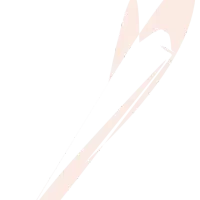 بار داخل شهر