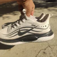 نایک اصلی ۴۴