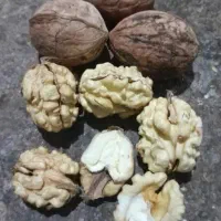 گردو|خوردنی و آشامیدنی|قیدار, |دیوار