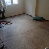 موکت پالاز کل واحد یکجا|موکت|تهران, فاطمی|دیوار