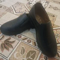 کفش مجلسی