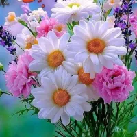 جویای کار نظافت منزل