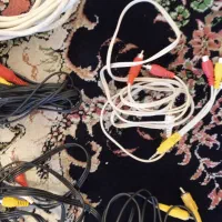 فیش تلویزیون