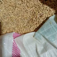 180کیلو جو به فروش میرسد