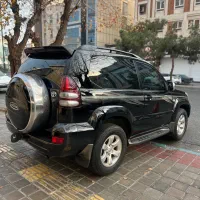 پرادو|خودرو سواری و وانت|تهران, درختی|دیوار