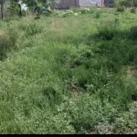 زمین جای باغ در محدوده اماده ساخت(حاجی بهزاد)
