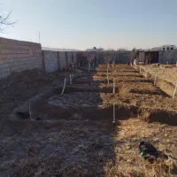 بیل زنی باغ باغچه