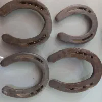 نعل کارکرده تضمینی|اسب و تجهیزات اسبسواری|مشهد, سازمان آب|دیوار