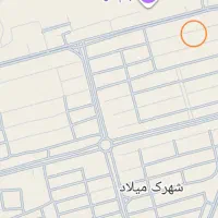 کلکسیون میلاد