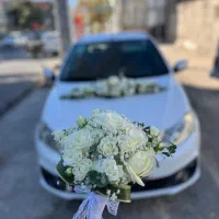 گل ویژه روز مادر و یلدا|گل و گیاه طبیعی|قائن, |دیوار