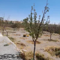 زمین در روستای دودهه|فروش زمین و ملک کلنگی|کوهین, |دیوار