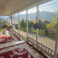 فروش-نازویلا-جنگلی600متر-این-یه-شانسه-جدی-بگیریدش