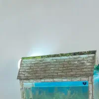 اکواریوم کلبه ای|ماهی|اهواز, فدک|دیوار