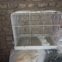 قفس|لوازم جانبی حیوانات|فردوس (خراسان), |دیوار