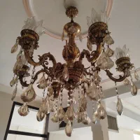 لوستر شاخه s