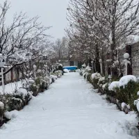 باغ-ویلا-اجاره-ای