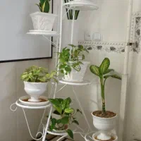 پایه گل