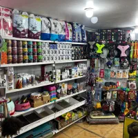 پت شاپ انواع لوازم جانبی سگ و گربه