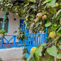 خانه اجاره ای با نازل ترین قیمت در حلیمه جان